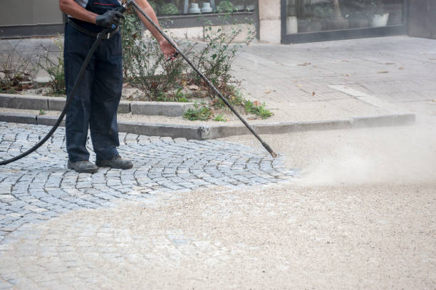 Best Driveway Pressure Washing  in Genoa City, WI