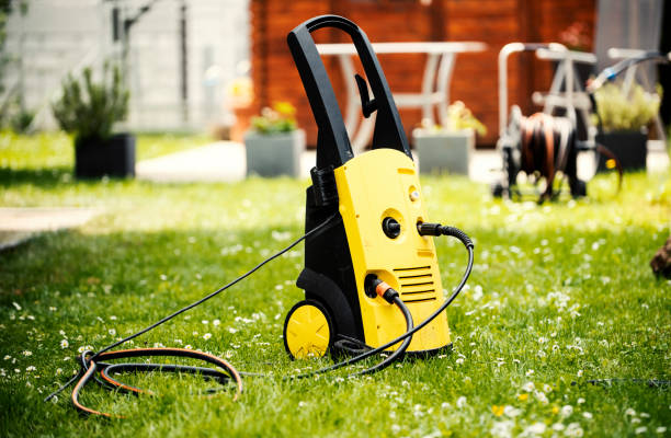 Best Sidewalk and Walkway Cleaning  in Genoa City, WI
